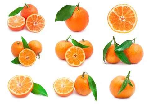 Mandarins Stock Illustration