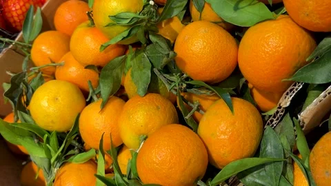 Mandarins with leaves in boxes on fruit stand Stock Footage 287500207