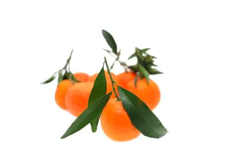 Mandarins Stock Photos