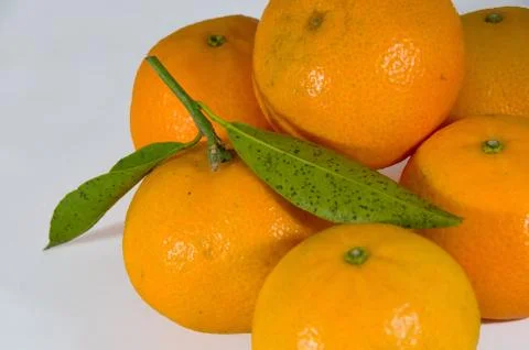 Mandarins Stock Photos