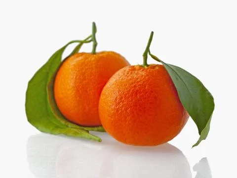 Mandarins Foto stock