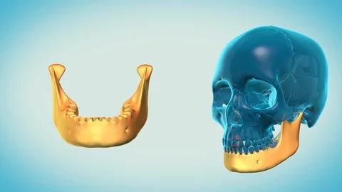 Mandible with a heavenly background Vídeos de archivo 87554891