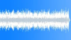 Mando Swinger - No Mando - Long Stock Music