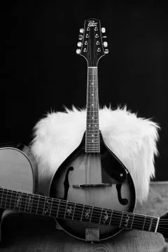 Mandolin Stock Photos