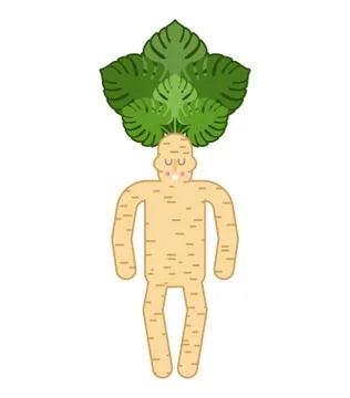 Mandrake root man. Tie and case. Magic plant. Vector illustration Stock Illustration