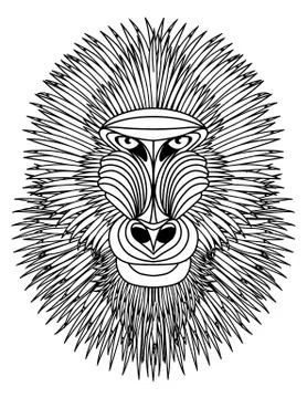 Mandrill Stock Illustration