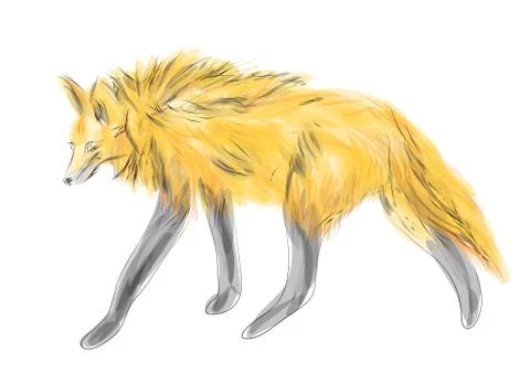 Maned wolf Stock Illustration