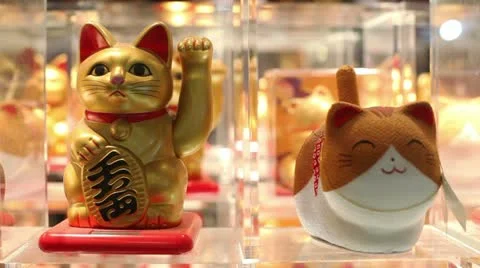 Maneki even closer Stock Footage 10877025