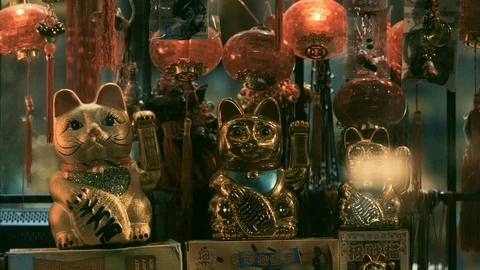 Maneki-neko or beckoning cats in shop window at night Stock Footage 89743502