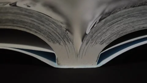 Animation Book Springs Open Turns Several Pages Works Dynamic Transition  Stock Video Footage by ©olekpieta.com #180850136
