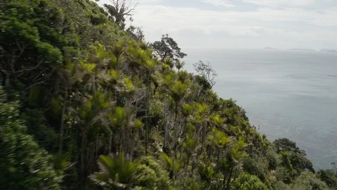 Mangawhai Cliffs Walkway (Drone) Stock Footage 86500989