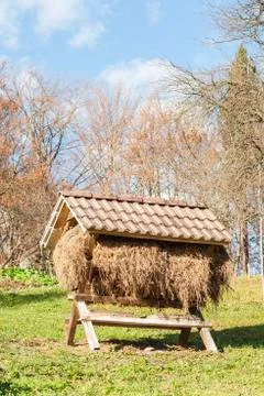 Manger with hay Foto stock