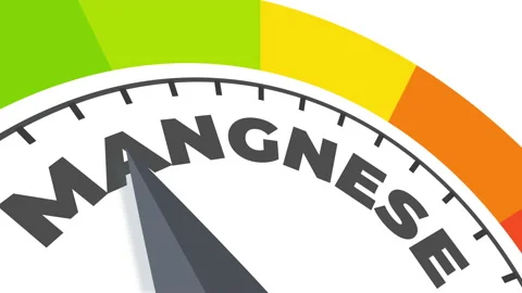 Mangese level measuring device animation. Video stock 229576258