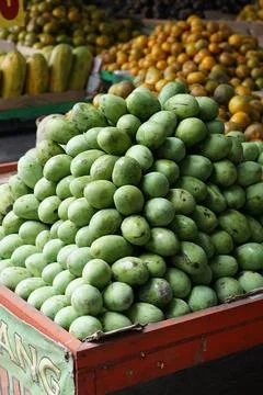 Mangga or mango Stock Photos