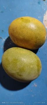 Manggo Stock Photos