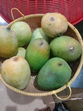 Manggofruit Foto stock