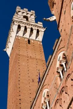 The mangia tower Stock Photos
