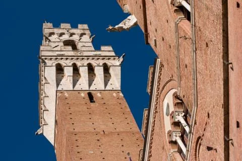 The mangia tower Stock Photos