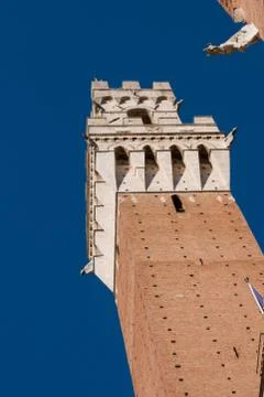 The mangia tower Stock Photos