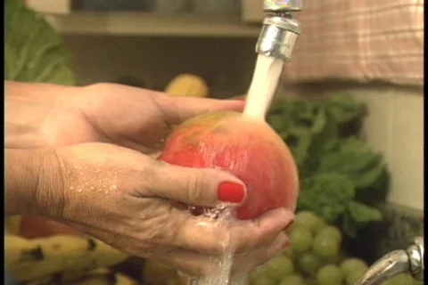 Mango - 005150007 Video stock 845682