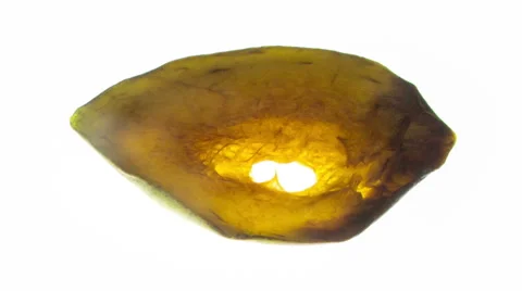 Mango 2 Stock Footage 65225320