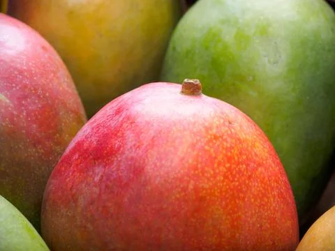 Mango background Stock Photos