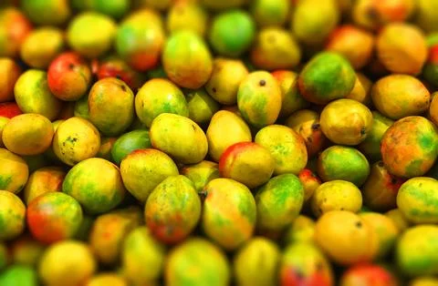 Mango Background. Ripe Fruit Backdrop. Tropical Delicious healthy Snack Stock Photos