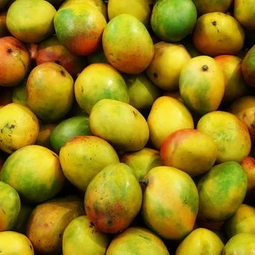 Mango Background. Ripe Fruit Backdrop. Tropical Delicious healthy Snack. Square Stock-Fotos