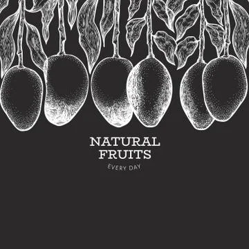 Mango banner. Hand drawn vector exotic fruit illustration on chalk board. Eng Stock Illustration