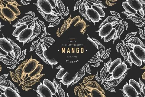 Mango banner. Hand drawn vector exotic fruit illustration on chalk board. Eng Stock Illustration