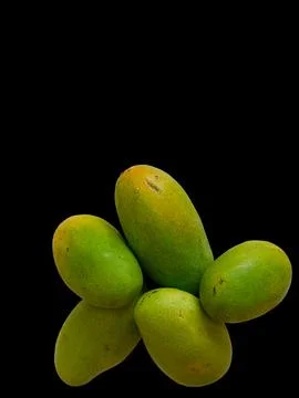 Mango on black background. Tropical fruit Фото