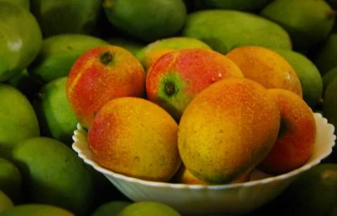 Mango on the bowl Stock Photos