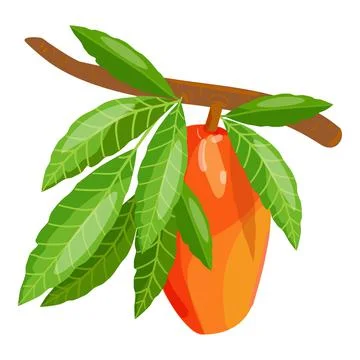 Mango branch icon cartoon vector. Tropical leaf Stock Illustration