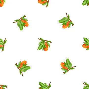 Mango branch pattern seamless vector Stock Illustration