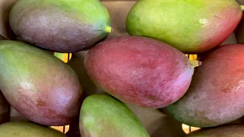 Mango in cardboard crate at the grocery store Stock Footage 306257422