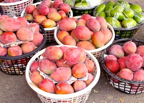 Mango closeup Stock Photos