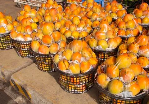 Mango closeup Foto stock