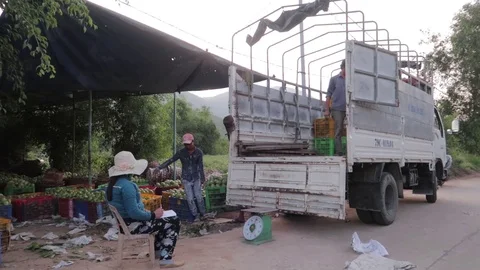 Mango crop loading into the truck Stock Footage 118639035