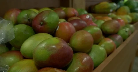 Mango CU Stock Footage 75382479