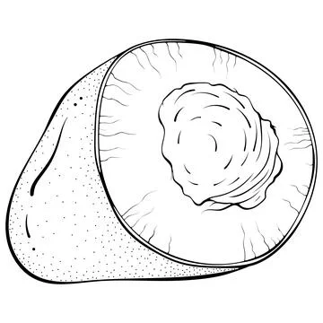 Mango cut in half Stock Illustration