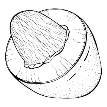 Mango cut in half with pit Stock Illustration