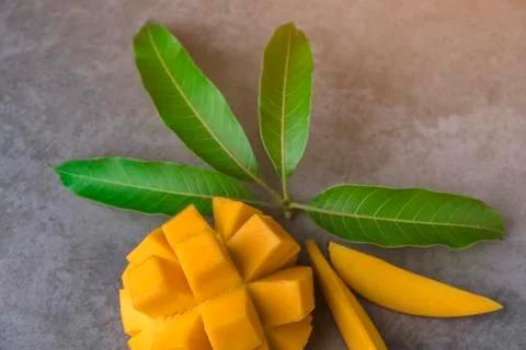 Mango on a dark background. Foto stock