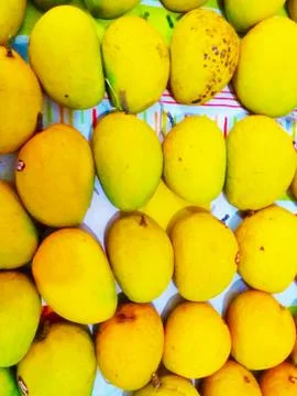 Mango days are here Stock Photos
