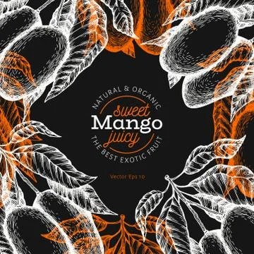 Mango design template. Hand drawn vector tropic fruit illustration on chalk b Stock Illustration