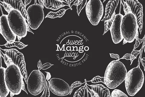Mango design template. Hand drawn vector tropic fruit illustration on chalk b Stock Illustration