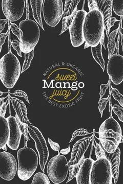 Mango design template. Hand drawn vector tropic fruit illustration on chalk b Stock-Illustration