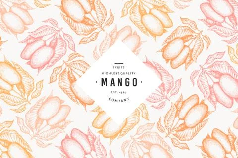 Mango design template. Hand drawn vector tropic fruit illustration. Engraved  Stock Illustration