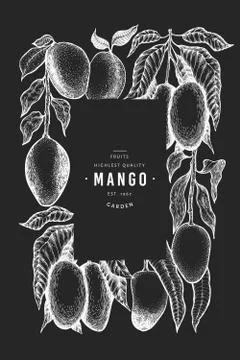 Mango design template. Hand drawn vector tropic fruit illustration on chalk b Stock Illustration