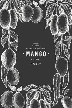 Mango design template. Hand drawn vector tropic fruit illustration on chalk b Illustrazione stock
