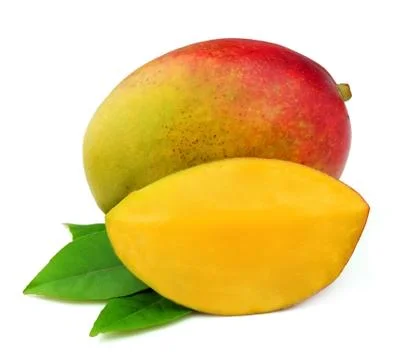 Mango fetus Stock Photos